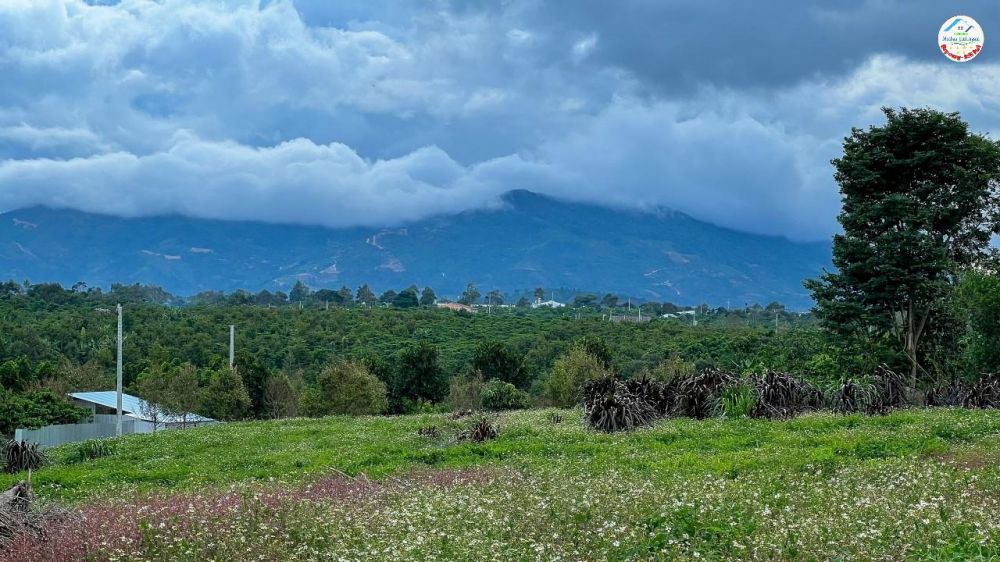 400 TRIỆU 1 LÔ DUY NHẤT - SĂN MÂY TẠI BẢO LÂM LÂM ĐỒNG