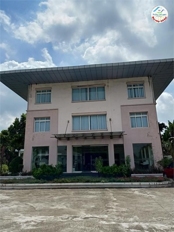 Bán 1,5ha đất kho nhà xưởng 50 năm tại Lai Cách, Cẩm Giàng, Tỉnh Hải Dương