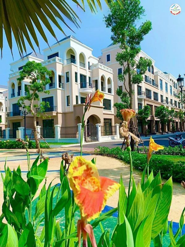 Cần bán căn biệt thự phân khu Đảo Dừa - 120m² - 13,9 tỷ Vinhomes Ocean Park 2 - The Empire Hưng