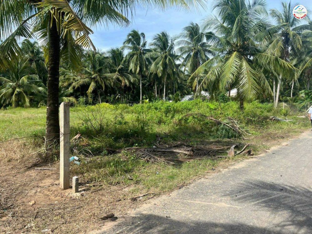 Chính Chủ Bán Nhanh Lô Đất Tại Ấp Trà On, Xã Huyền Hội, Huyện Càng Long, Trà Vinh