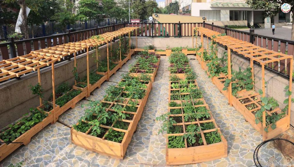 Chính chủ cần bán gấp 3 sổ đất có sẵn nhà vườn cạnh Chợ Tân Quan, Bình Phước