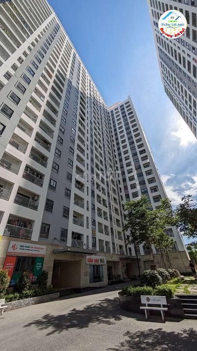 Cho Thuê Căn hộ mới 2PN, 2WC - Chung cư Iris Tower - Đường Nguyễn Du, Phường Bình Hòa,