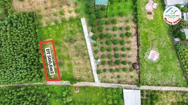 Nhà đất bán Diên Khánh, Khánh Hòa | 500m2 - 1.1 Tỷ/Tổng diện tích