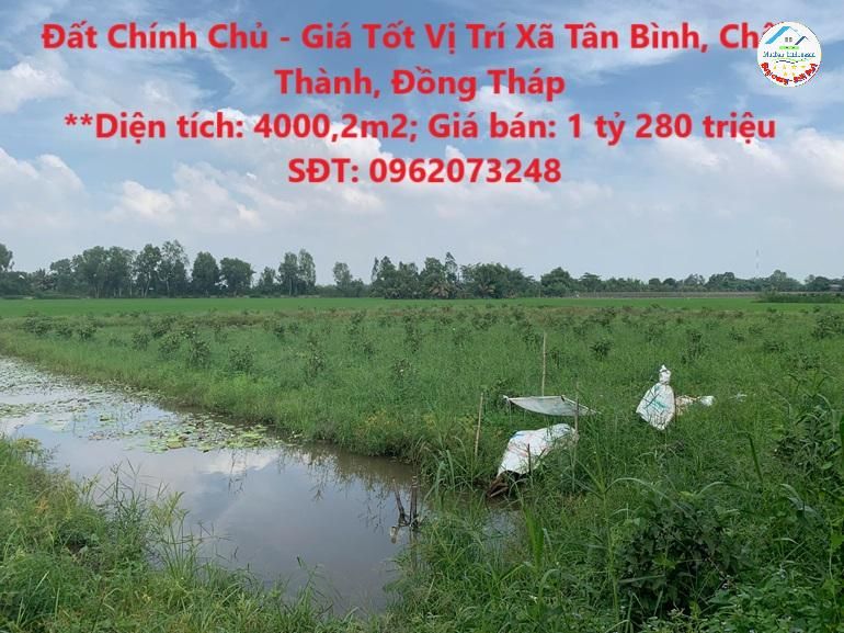 Đất Chính Chủ - Giá Tốt Vị Trí Tại Xã Tân Bình, Châu Thành, Đồng Tháp