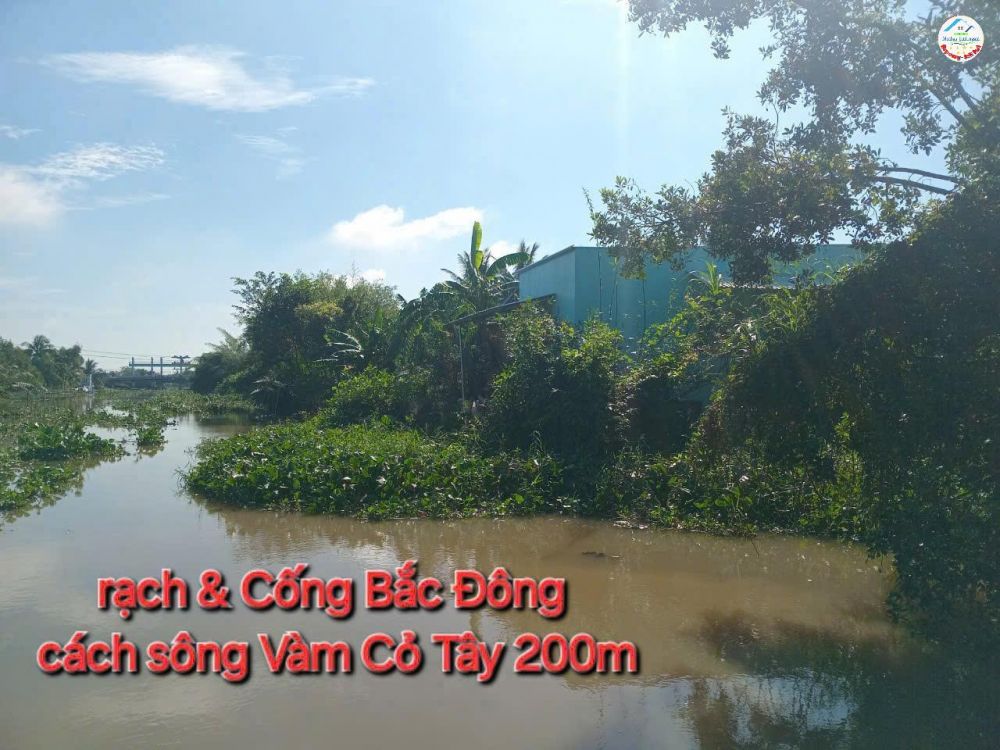 ĐẤT ĐẸP- GIÁ TỐT - Chính Chủ Cần Bán Nhanh Nhà Đất Tại Mỹ An, Thủ Thừa, Long An