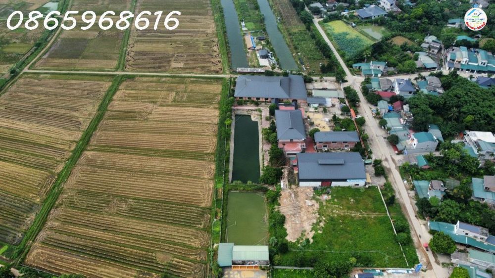 Sang nhượng dự án nông nghiệp an toàn VietGap tại Kim Phú, TP Tuyên Quang (sát Khu đô thị DanKo