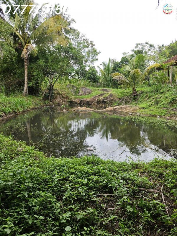 View suối đẹp mê ly tại Đăk Lak. 68m suối giá yêu thương